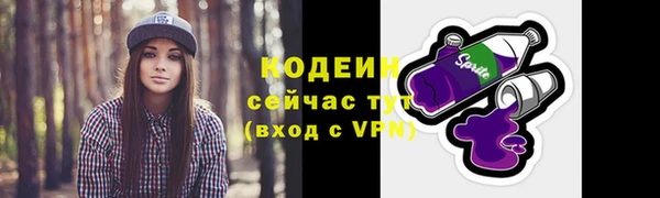 гашик Медногорск