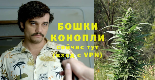 PSILOCYBIN Елабуга