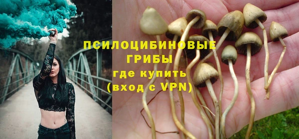 spice Медвежьегорск