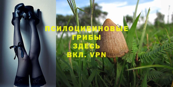 PSILOCYBIN Елабуга