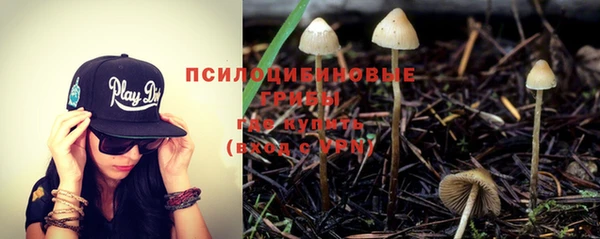 PSILOCYBIN Елабуга