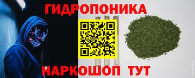 шишки Донецк
