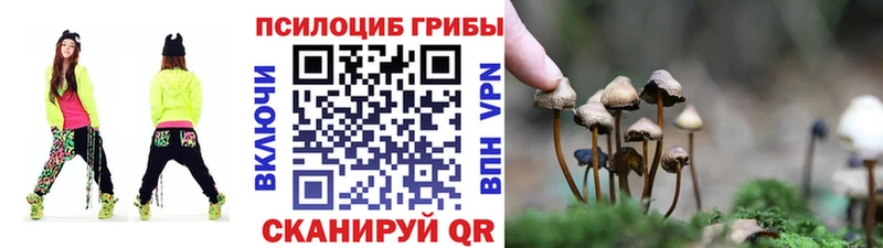 Псилоцибиновые грибы ЛСД  закладки  Кохма 