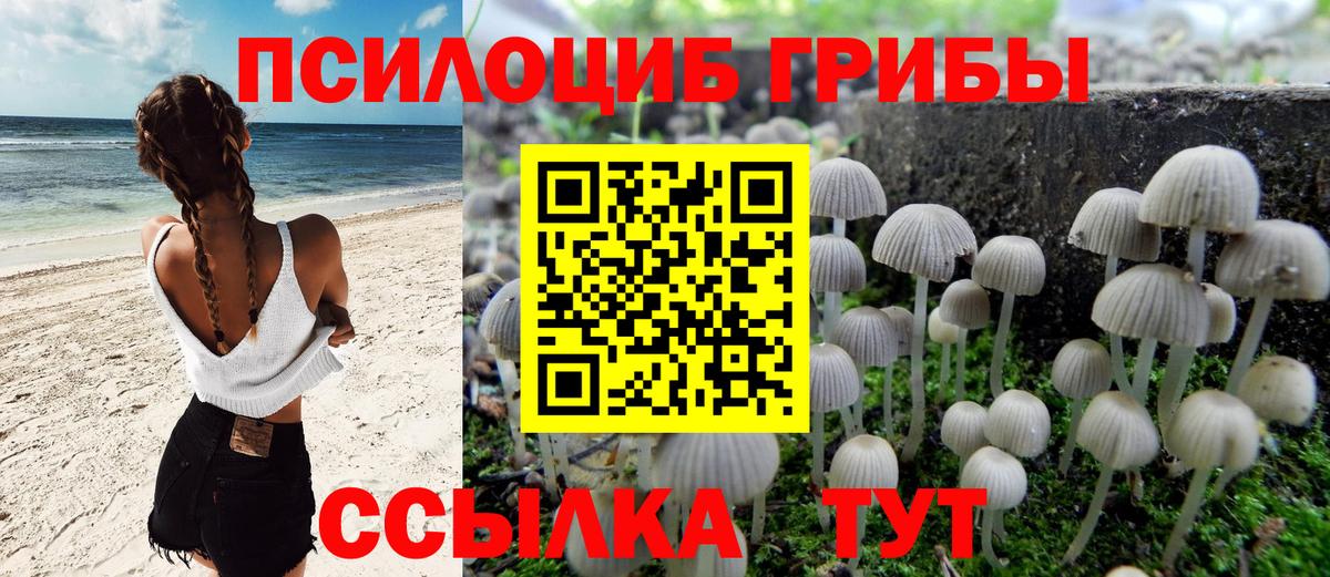 Галлюциногенные грибы Cubensis Кохма