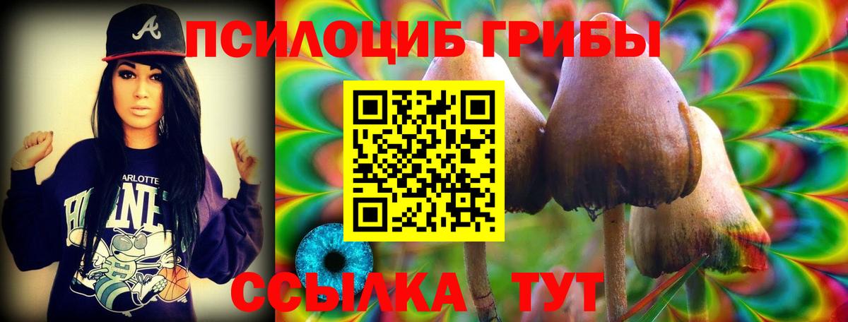Галлюциногенные грибы GOLDEN TEACHER  Псилоцибиновые грибы мухоморы  Кохма  Вход с VPN 