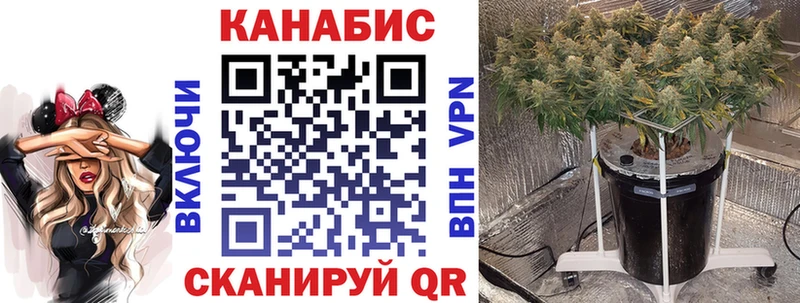 Канабис планчик  Кохма 