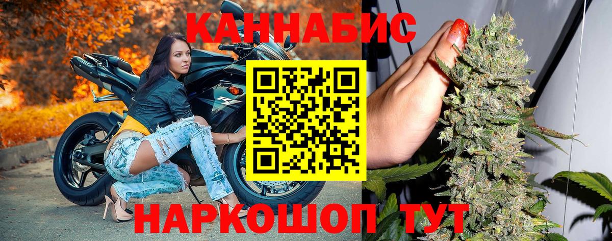 Бошки Шишки гибрид  Конопля гибрид  Вход с VPN  Конопля сатива  Кохма 